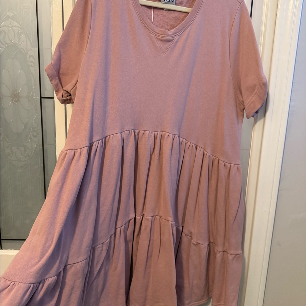 Arula Blush Mini Sweatshirt Dress